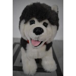 Husky Dog Canada Plush Stuffed Souvenir Tag Sitting Animal House 10.5 Blue eyes